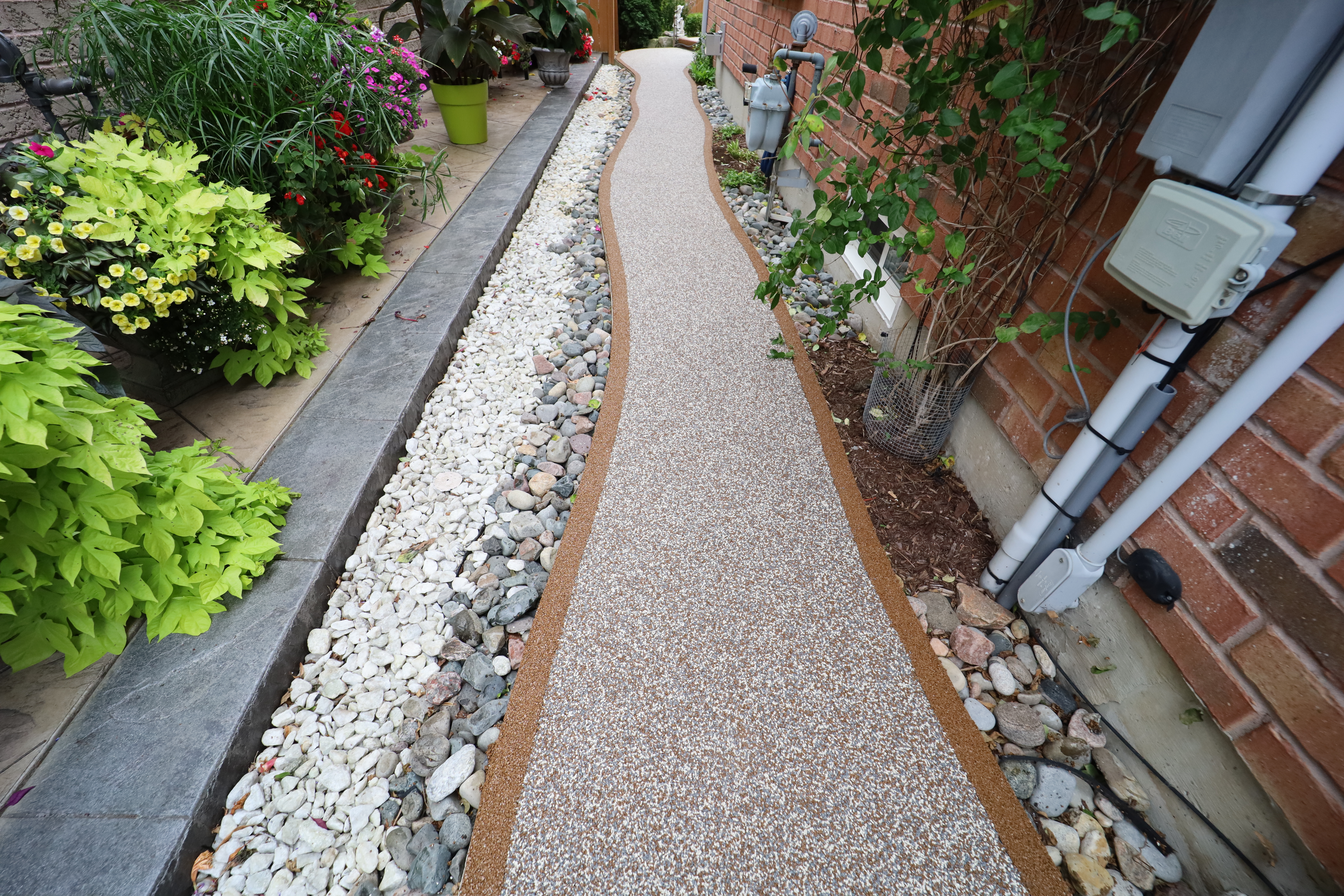 Rubaroc Pathway